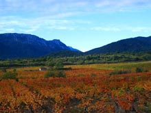 Caudies valley in the Autumn